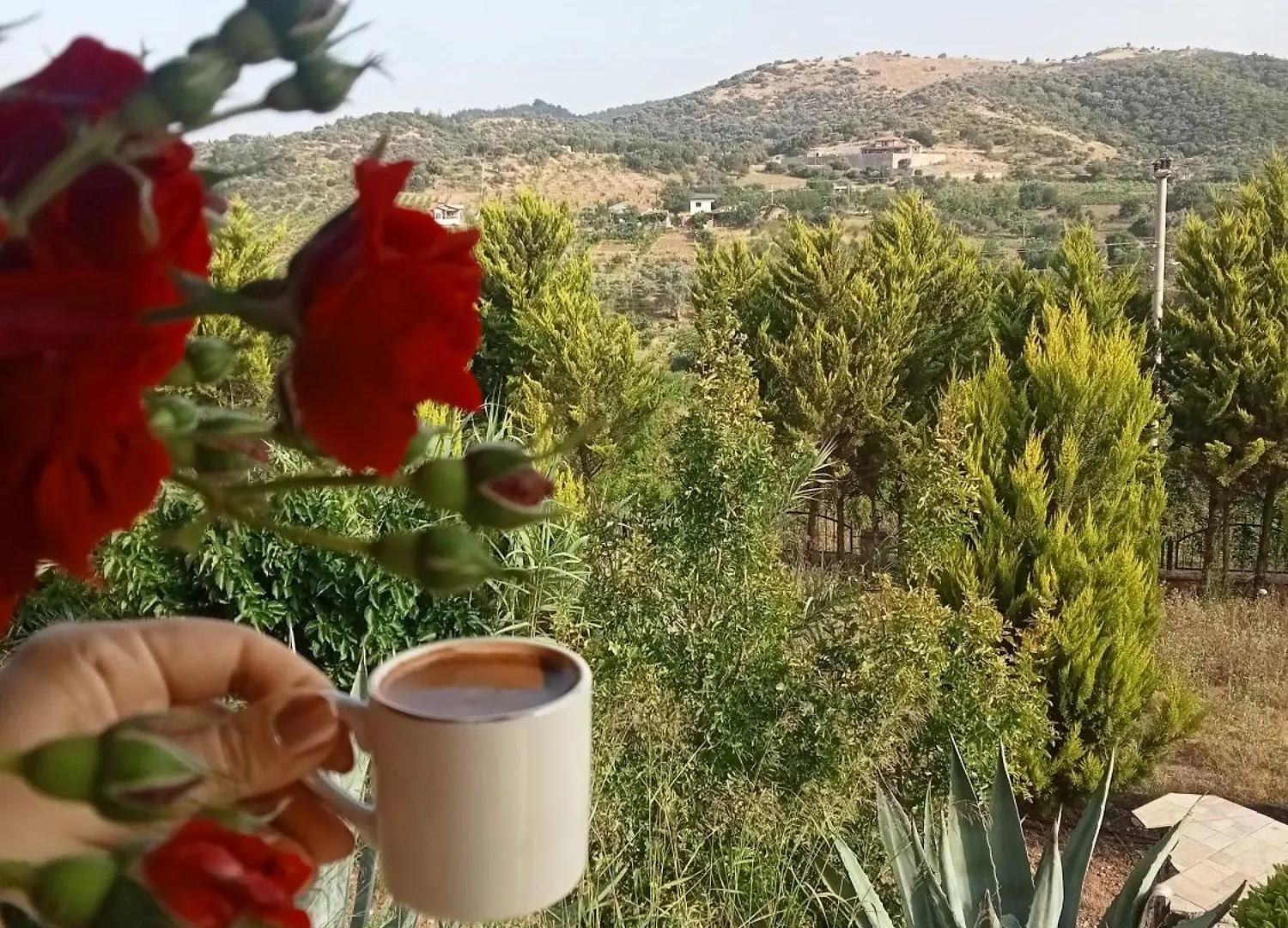 Muhtesem Havuzlu Villa Seferihisar